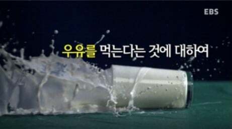 우유의 불편한 진실