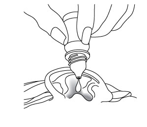 eardrops