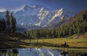 고산병에 비아그라? 고산병의 예방과 치료